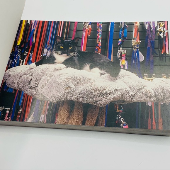 Cats at Work Postcard Book (1991, Abbeville Press) – 30 Vintage Postcards - Picture 3 of 10